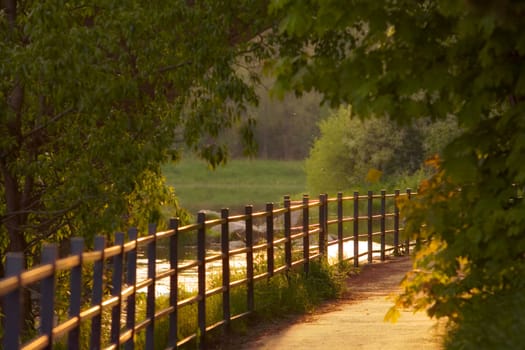 River in a park