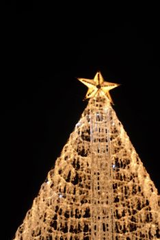 christmas tree lights in the dark night