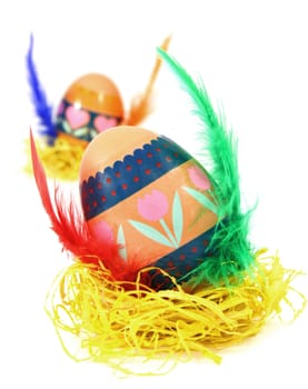 Easter egg race. Wings made of color feathers. Isolated on white.