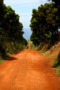 big red road in sao jorge island, azores