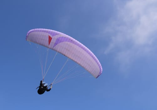 Purple paraglider flying