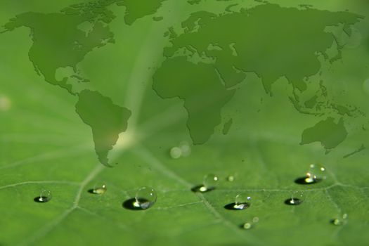 Concept for a green world, water is life
