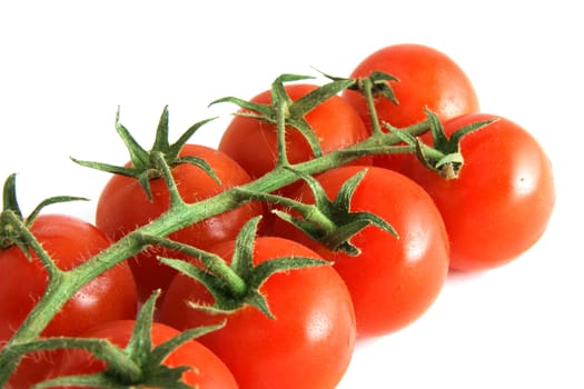 branch of cherry tomatoes, isolated on white