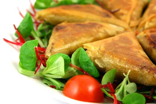 samosas and salad, white space on the left