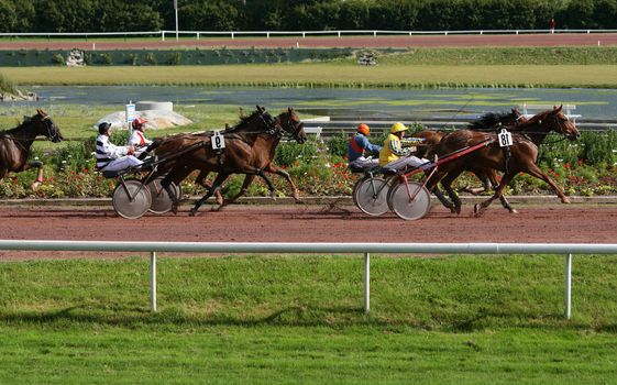 Harness racers, sulky horses and drivers 