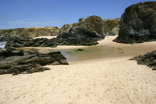 portuguese beach detail