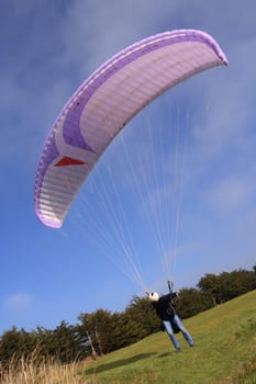 Purple paraglider before the jump (vertical)