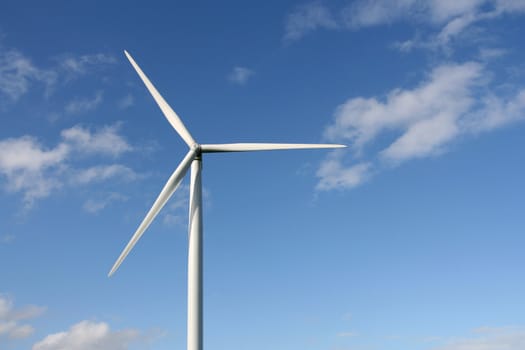 Wind turbines in a field, in summer, over a blue sky.