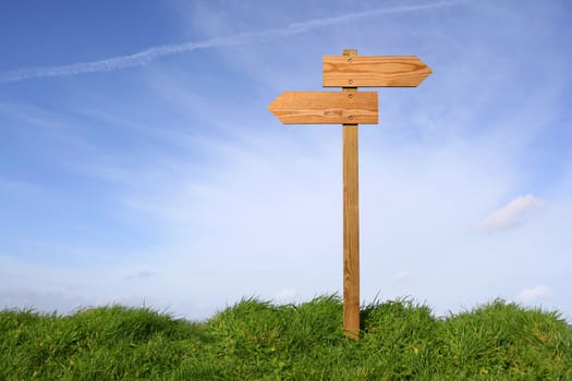 Wooden direction sign in grass, clipping path included