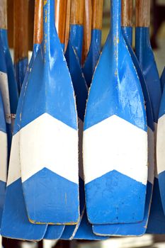 Used wooden rowers hanging in a store