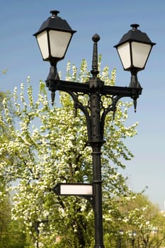 Two street lanterns and a blossoming tree