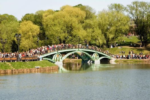 The bridge in park on a background of green trees