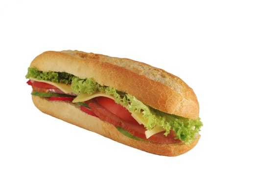 photo of appetizing   sandwich on white background