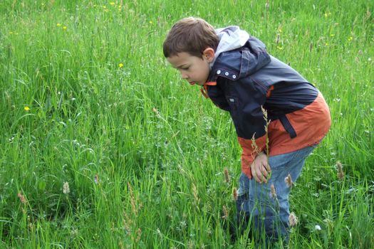 Boy on meadow