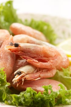raw shrimps in the green salad