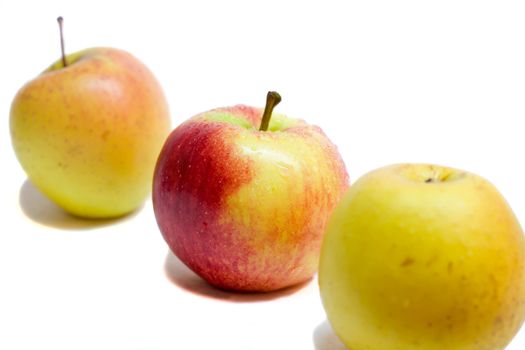 apples, red between yellow, focus on red, isolated on white