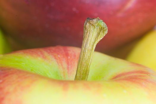 red apple tail, macro shot with shallow dof