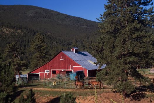 A farm and ranch in Colorado shows country and rural life 