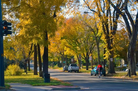 A cyclist takes in the colorful Autumn trees while bicycling through a downtown neighborhood