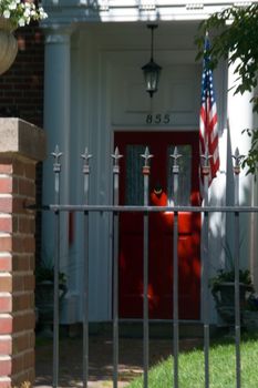 A iron fence shows a gated entry to an American Mansion house