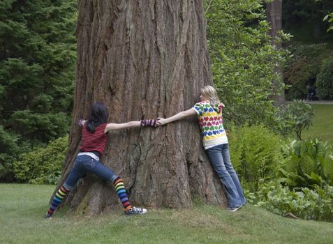 Two young girls hugging a big old tree.