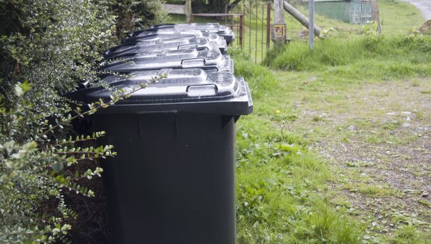 Five whelie bins lined up for collection.