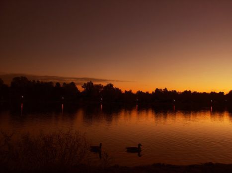 Orange Sunrise with ducks on a lake