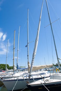 Sailboats docked in harbor