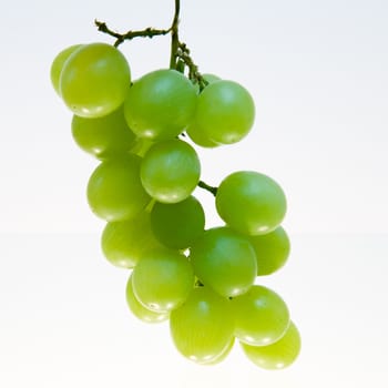Cluster of green grapes