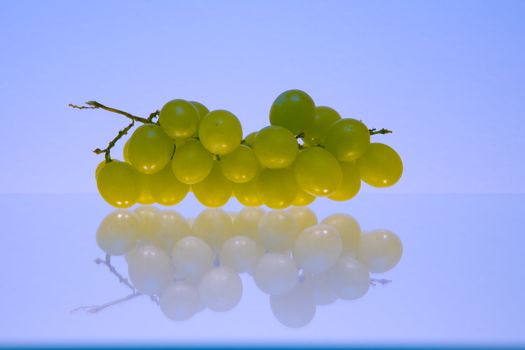 Cluster of green grapes