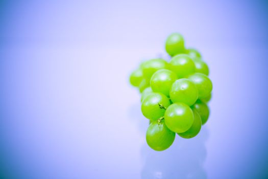 Cluster of green grapes