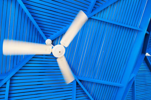 Abstract photo fan on a blue background.