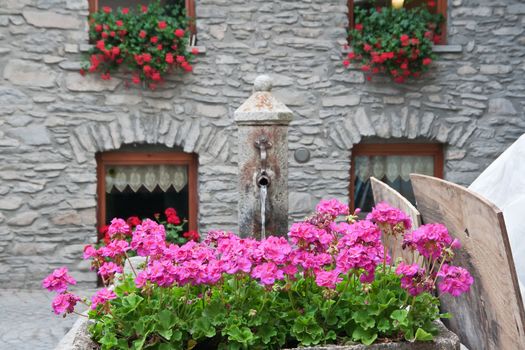 geranium flowers and a public fountain in Verrand, Courmayeur, Italy