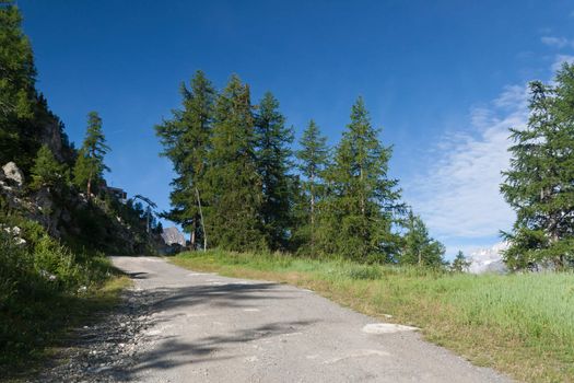 beautiful path in Italian Alps on summer