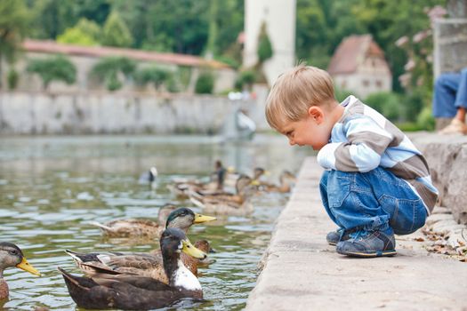 Cute little boy feeding ducks in the pond in a city park. Germany