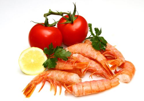 fresh shrimp with tomatoes