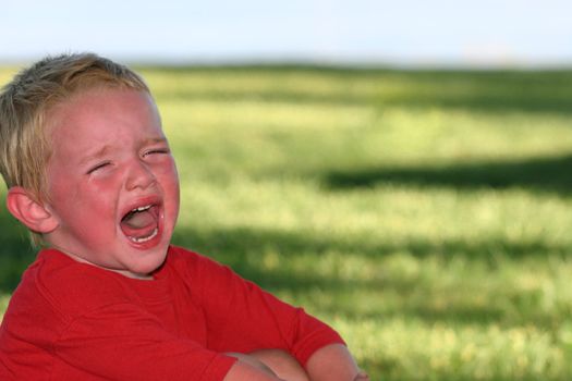 Little boy crying with green grass background