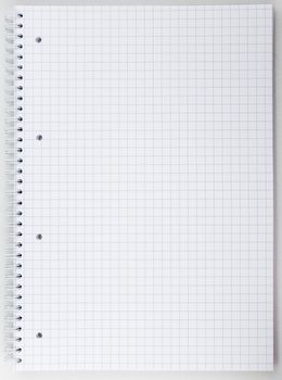 Blank open notebook with grid