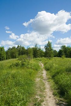 Path in beautiful sunny nature environment