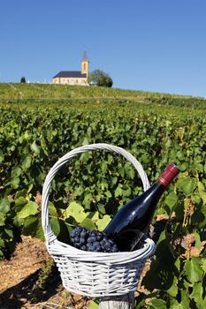 bottle of wine in basket and church in France