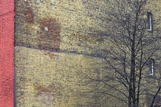 Red wall with windows and a tree in a back alley.