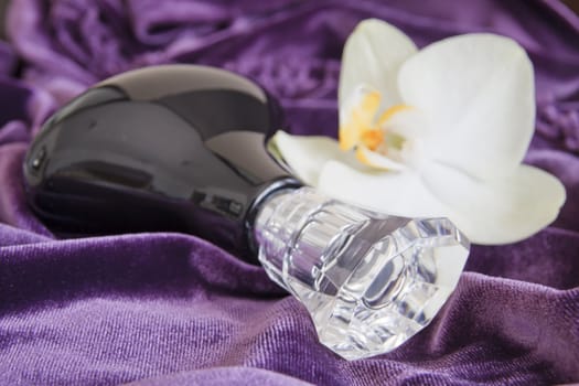 black perfume bottle on purple background