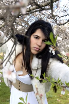 View of a beautiful girl on a white dress on a green grass field next to a almond tree