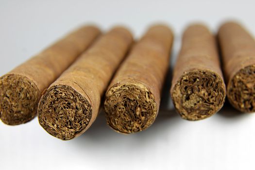 A row of authentic Cuban cigars.
