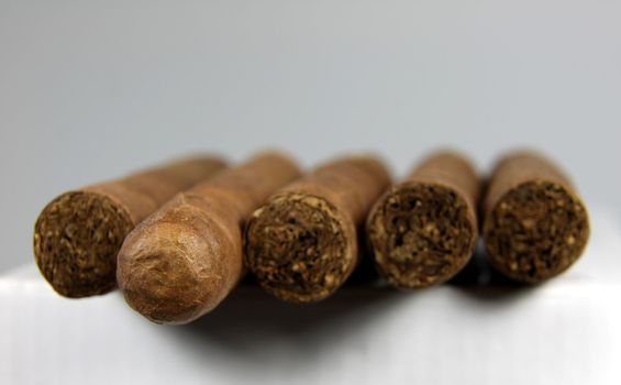 A row of authentic Cuban cigars.