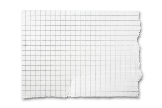 Torn piece of squared paper isolated on white background with 
shadow