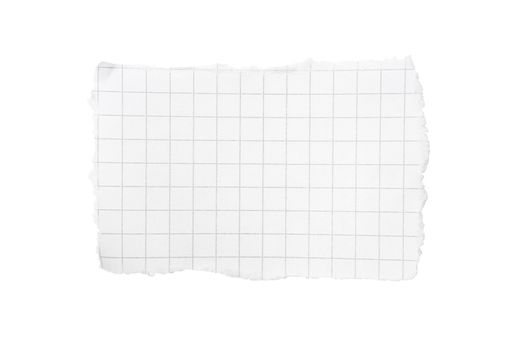 Torn piece of squared paper isolated on white background with clipping path