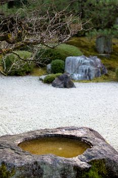 A little pond and a naked tree in a Japanese autumn park 
