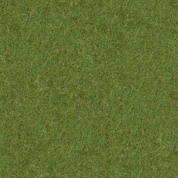 Square grass texture, can be tiled.