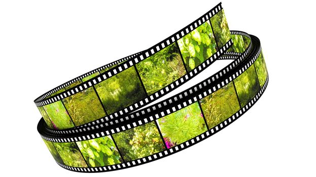 Segment color film rolled up filled by pictures of nature